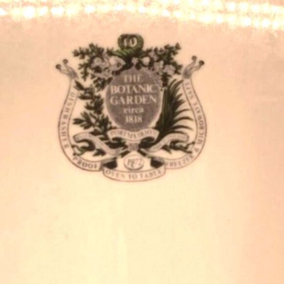 Portmeirion Botanic Garden Amaryllis Reginae Mexican Lily Dinner Plate Pre Owned - Picture 3 of 5